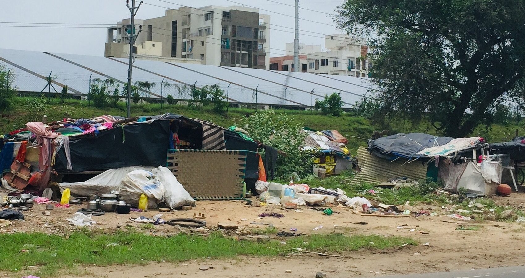 SDG 1 (no poverty)