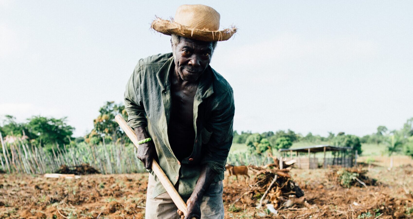 SDG 2 (zero hunger)