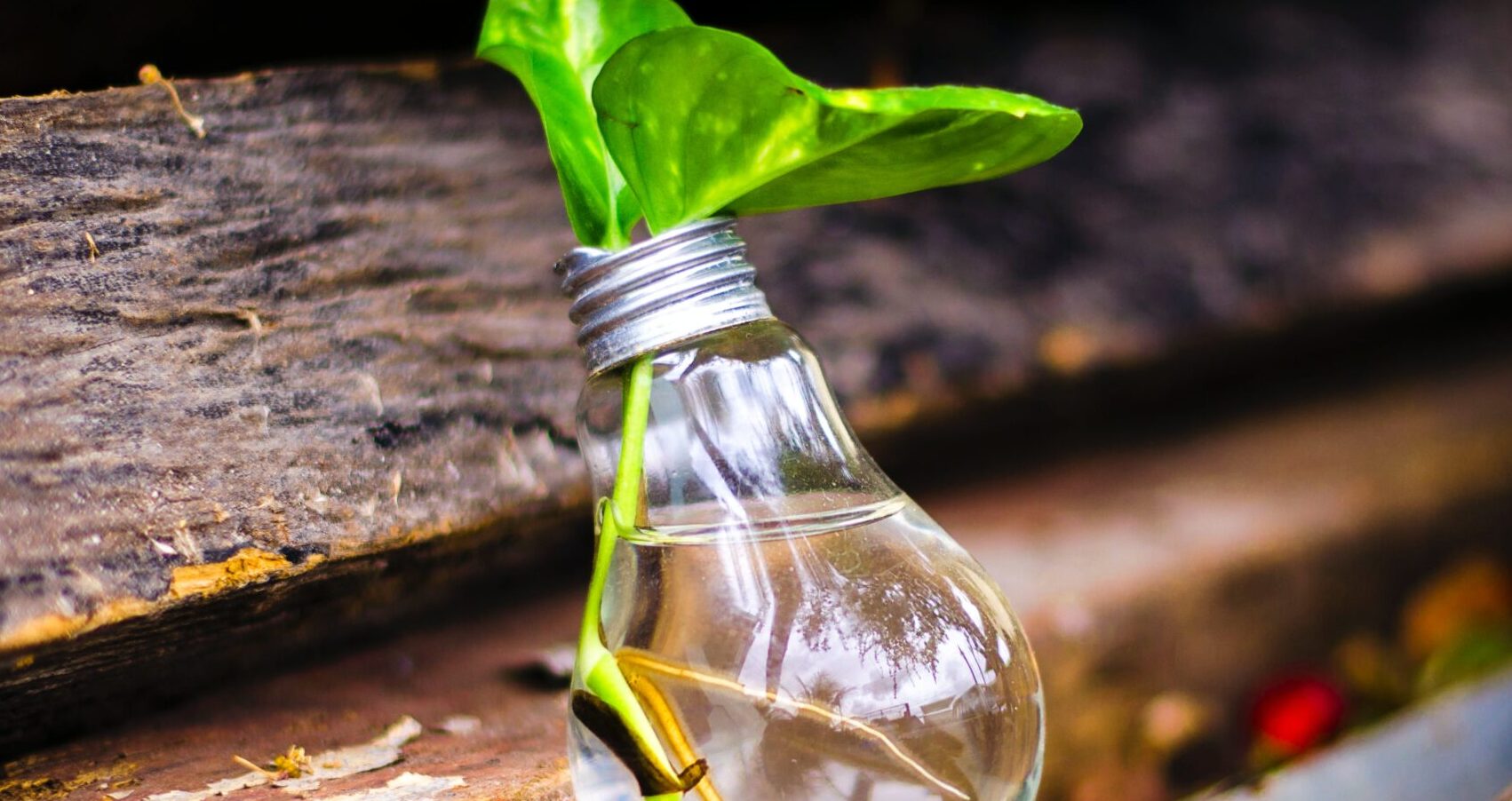 SDG 9 (industry, innovation and infrastructure)